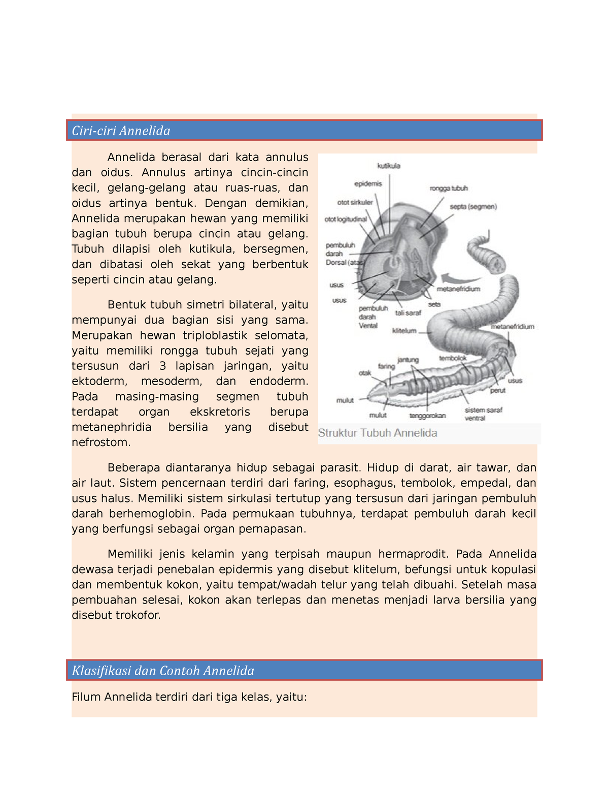 Annelida - High School Biology Subject School Notes - Annelida Ciri ...