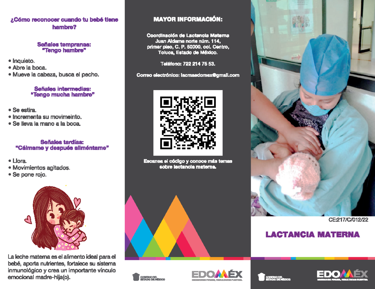 Lactancia materna triptico 2 Fisiología I & II Studocu
