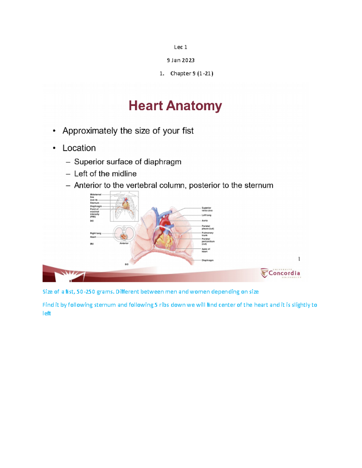 Physiology Guyton Chapter 9 Lec 1 9 Jan 2023 Chapter 9 1 21 Size Of