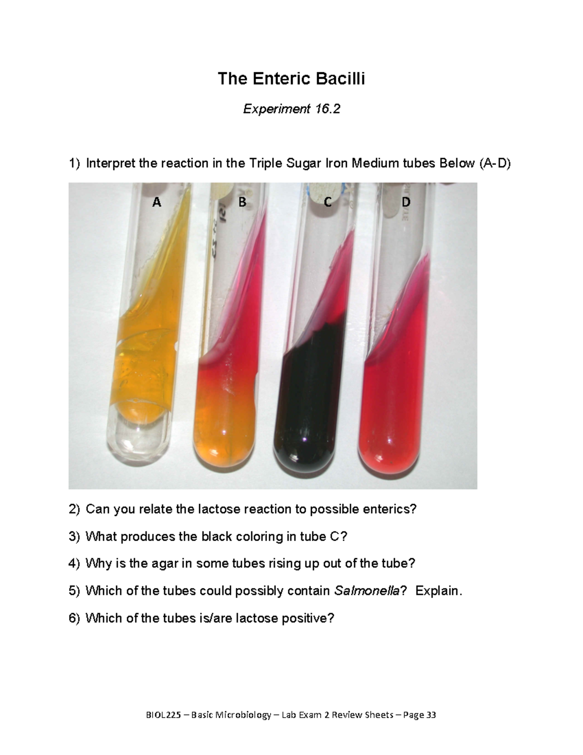 Lab Exam Review 2BMW14 d08da581a0406a00b0ae07e205e8436e copy 14