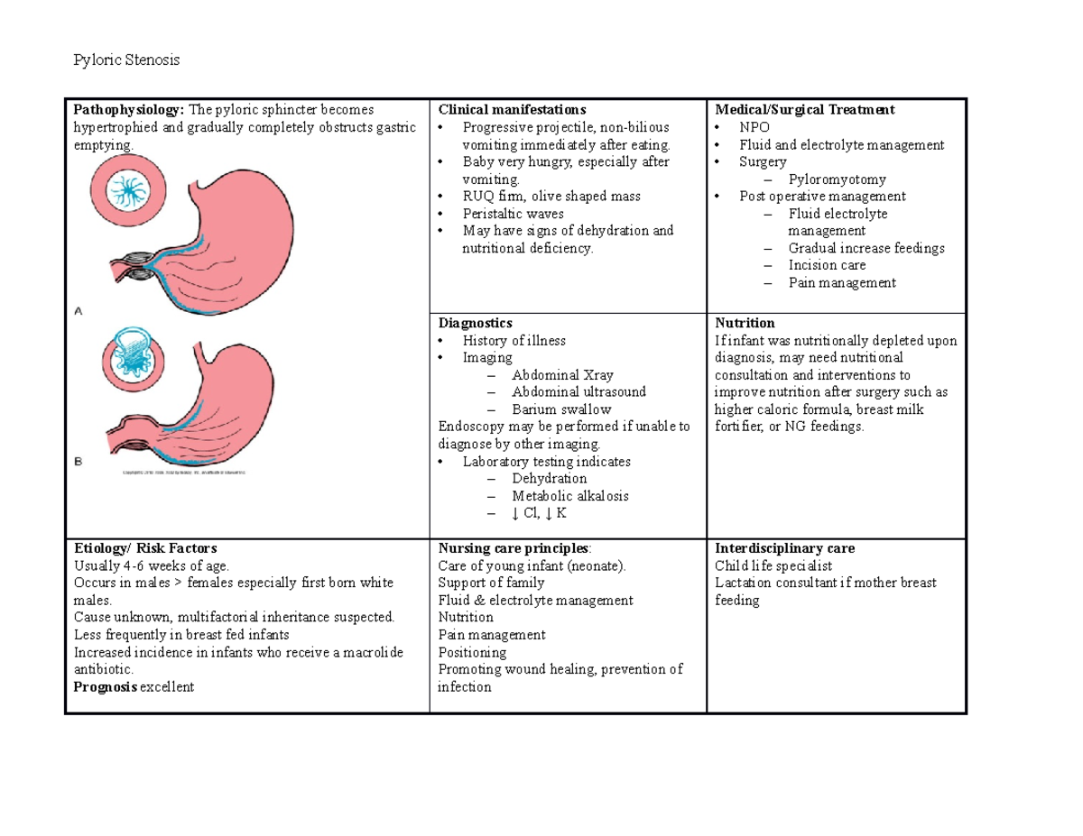 pyloric-stenosis-alterations-in-gastrointestinal-function-pyloric