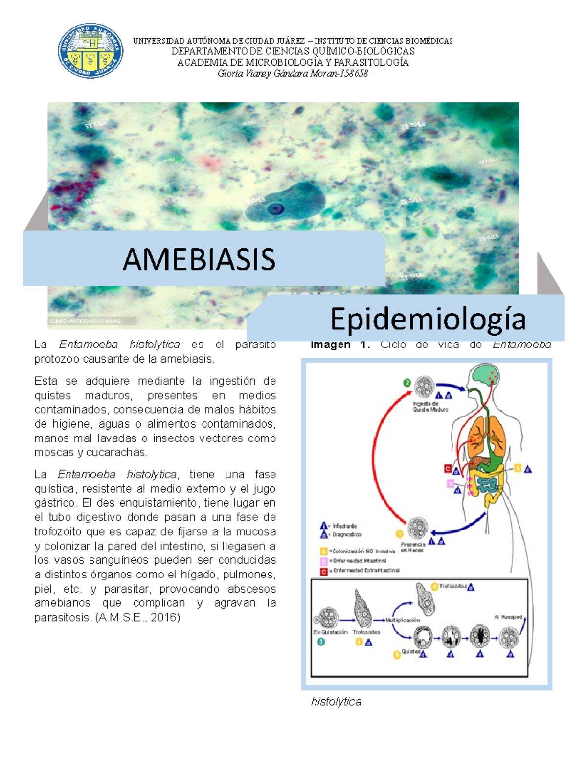 Epidemiologia Amebiasis Universidad AutÓnoma De Ciudad JuÁrez Instituto De Ciencias 8138