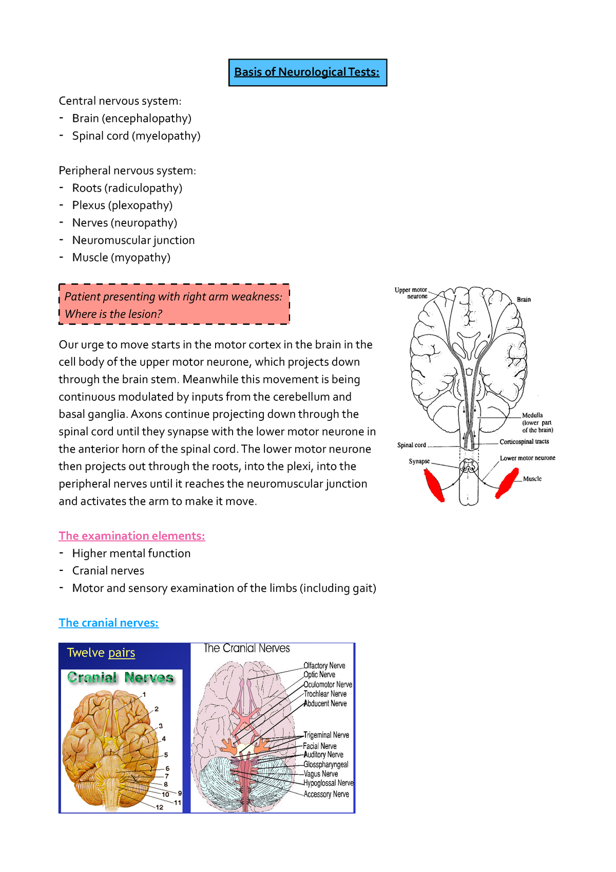 Basis Of Neurological Tests - Central Nervous System: Brain ...