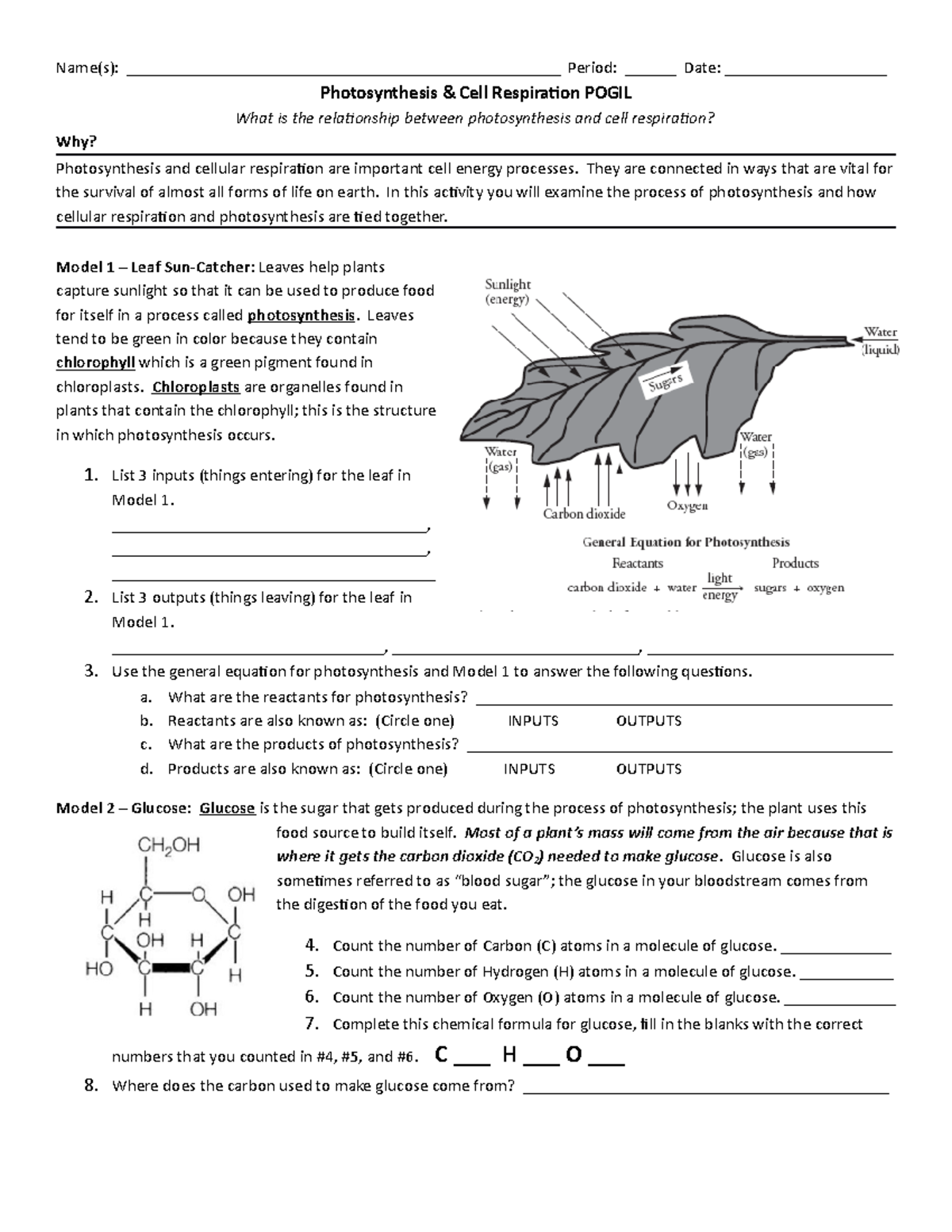 Pogil Photosynthesis Answer Key