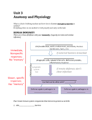 Lesson 13 Class Outline Flow of Genetic Information Part 1 - The Flow ...