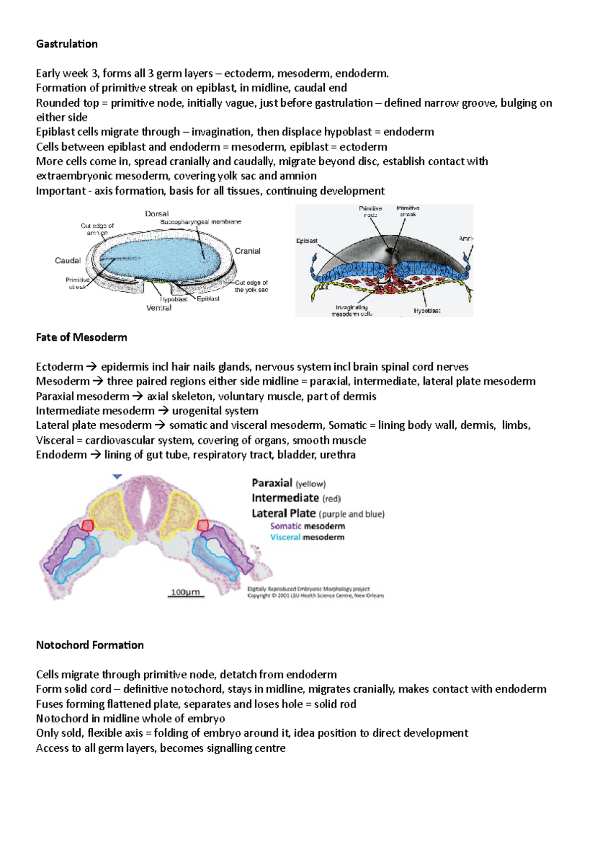 Embryology research papers pdf image