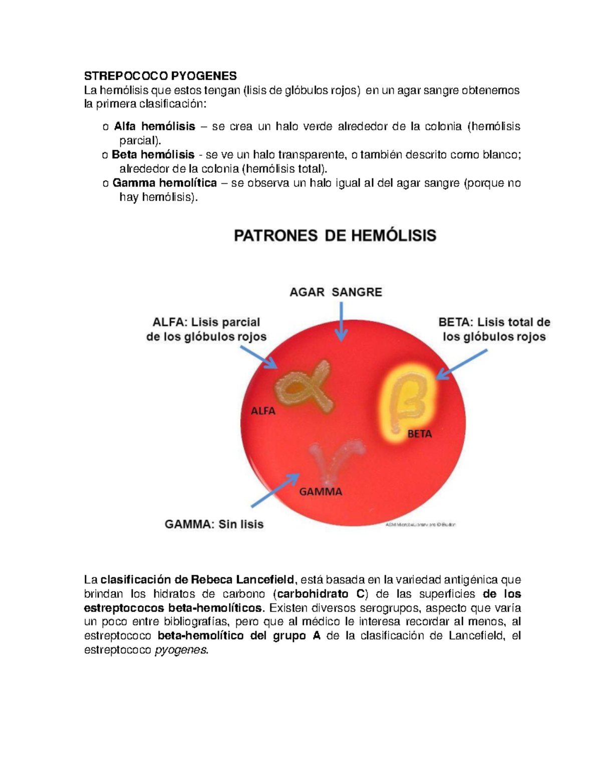 Streptococcus Pyogenes Resumen - STREPOCOCO PYOGENES La hemólisis que ...