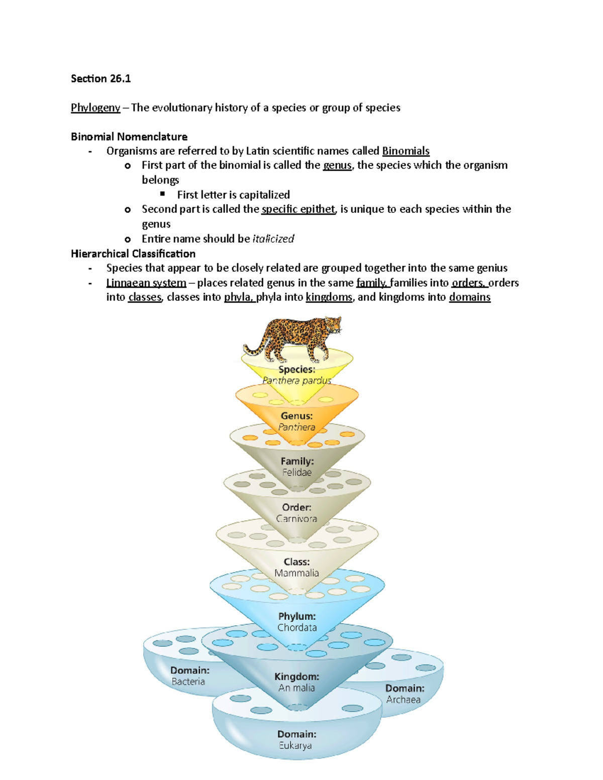 Chapter 26 - Phylogenies and The Tree of Life - Section 26. Phylogeny ...