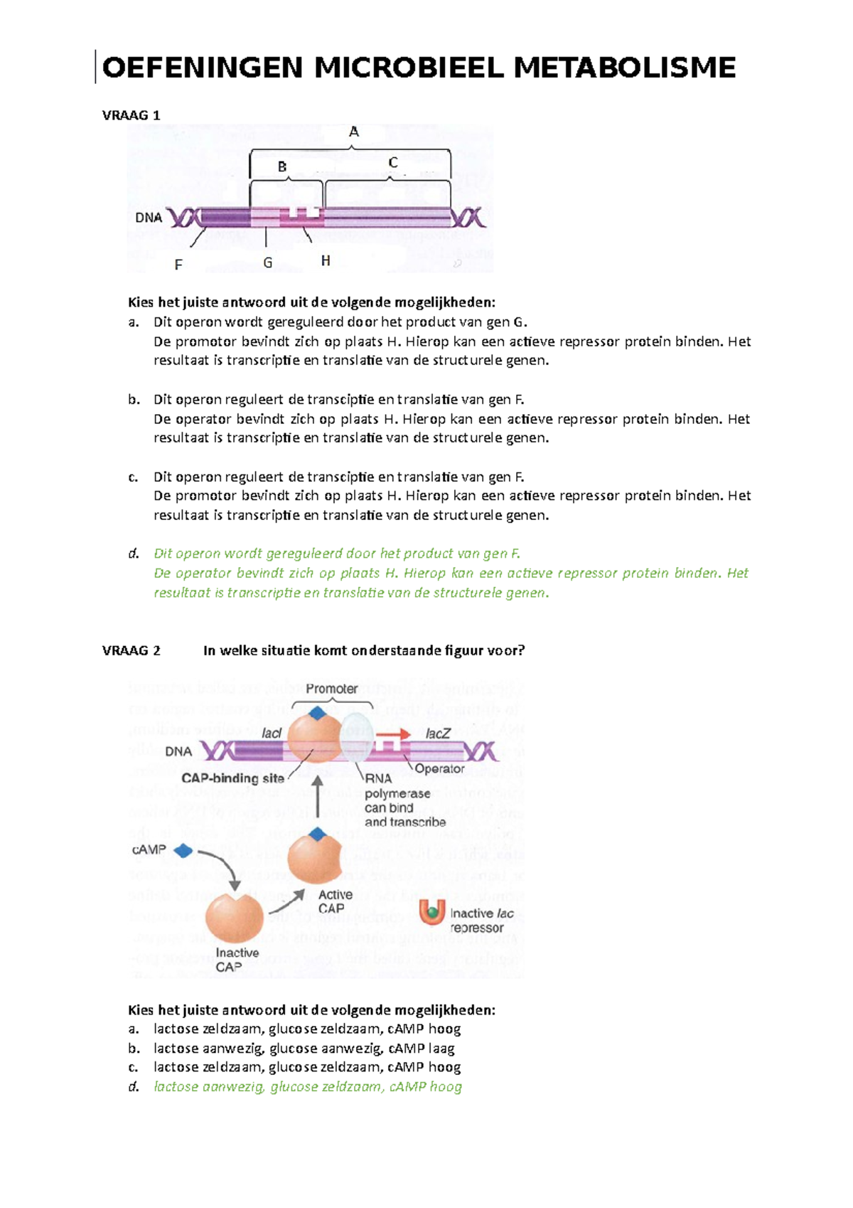 Oefeningen Microbieel Metabolisme - OEFENINGEN MICROBIEEL METABOLISME ...