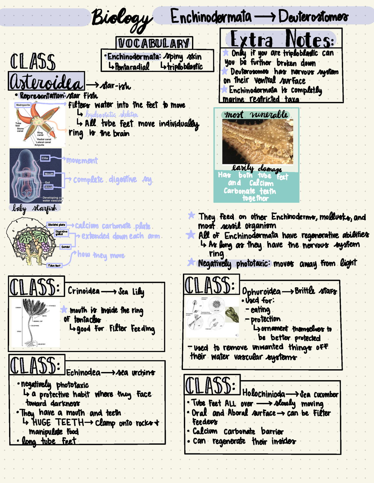 Biology Final - All The Notes For The First Exam. Highly Recommend ...