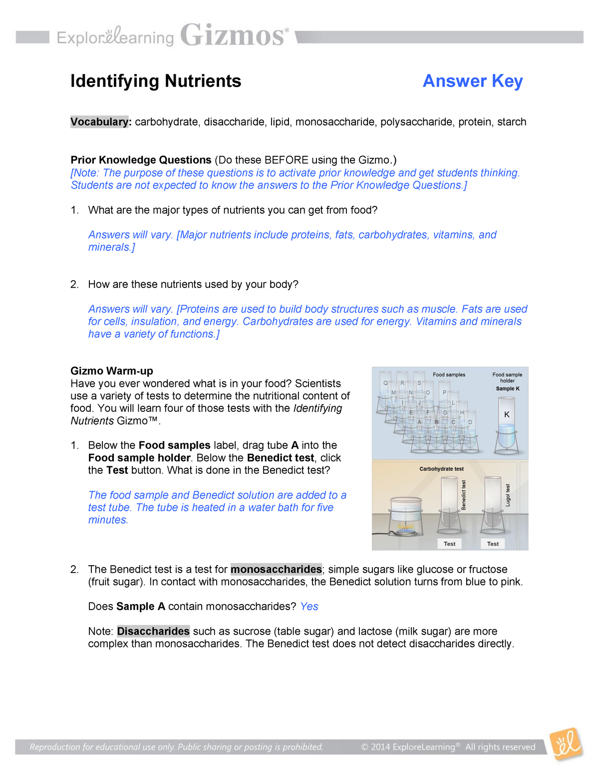 Identifying Nutrients SE Key Identifying Nutrients Answer Key Vocabulary Carbohydrate StuDocu