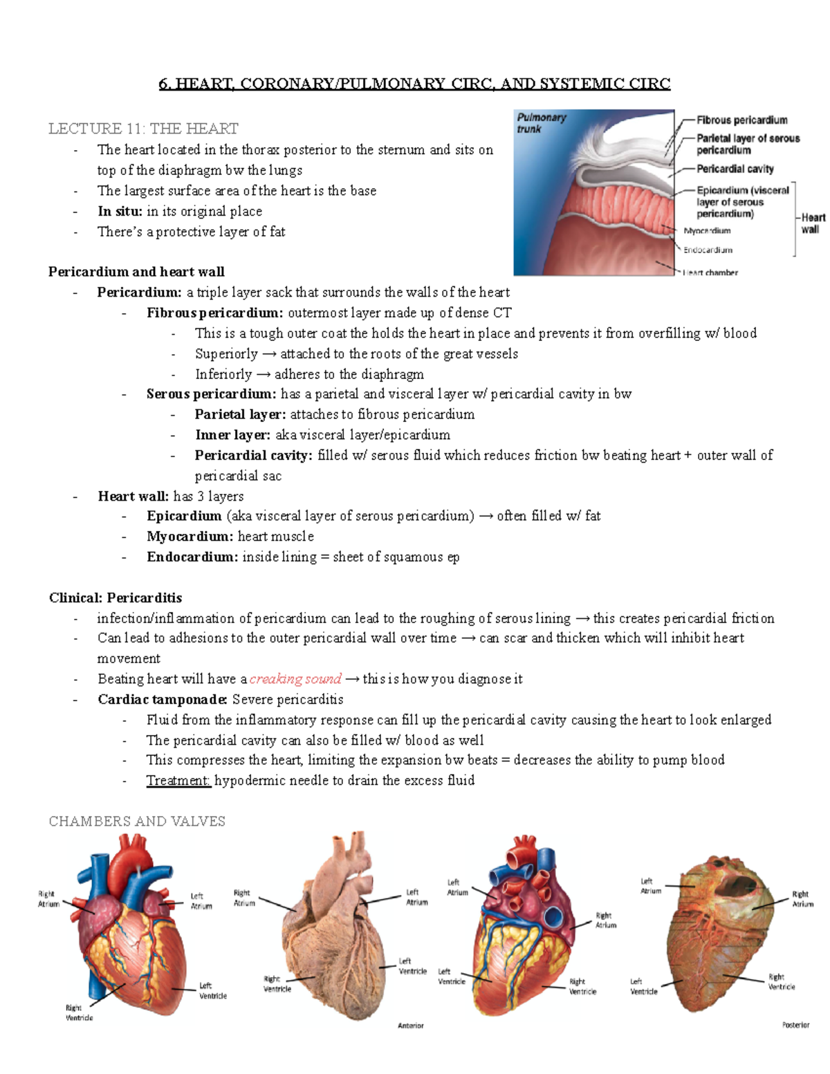 6. heart + coronary pulmonary circ + systemic circ - 6. HEART, CORONARY ...