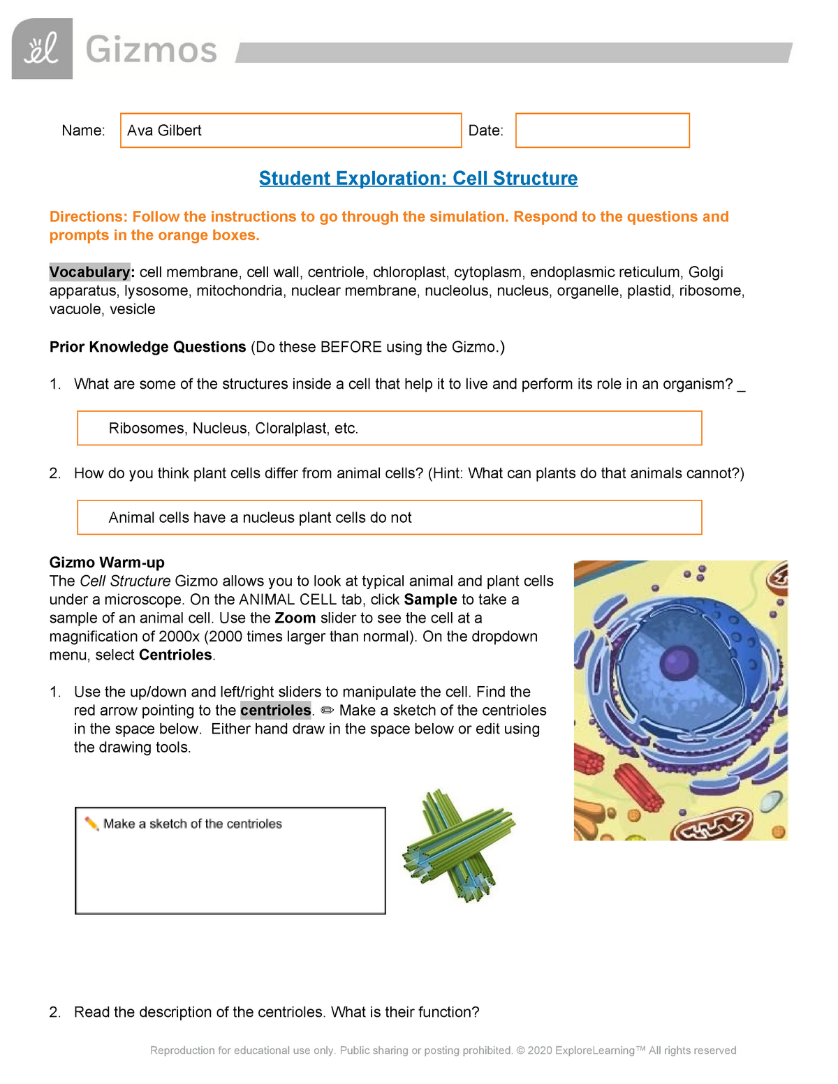 Copy of Cell Structure Gizmo Data Sheet - Student Exploration: Cell  Structure Directions: Follow the - Studocu