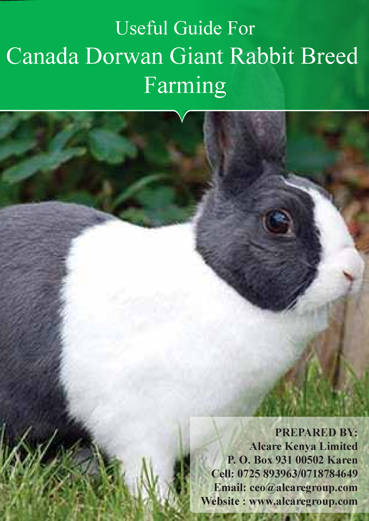 Useful Guide For Canada Dorwan Giant Rabbit Breed Farming Studocu