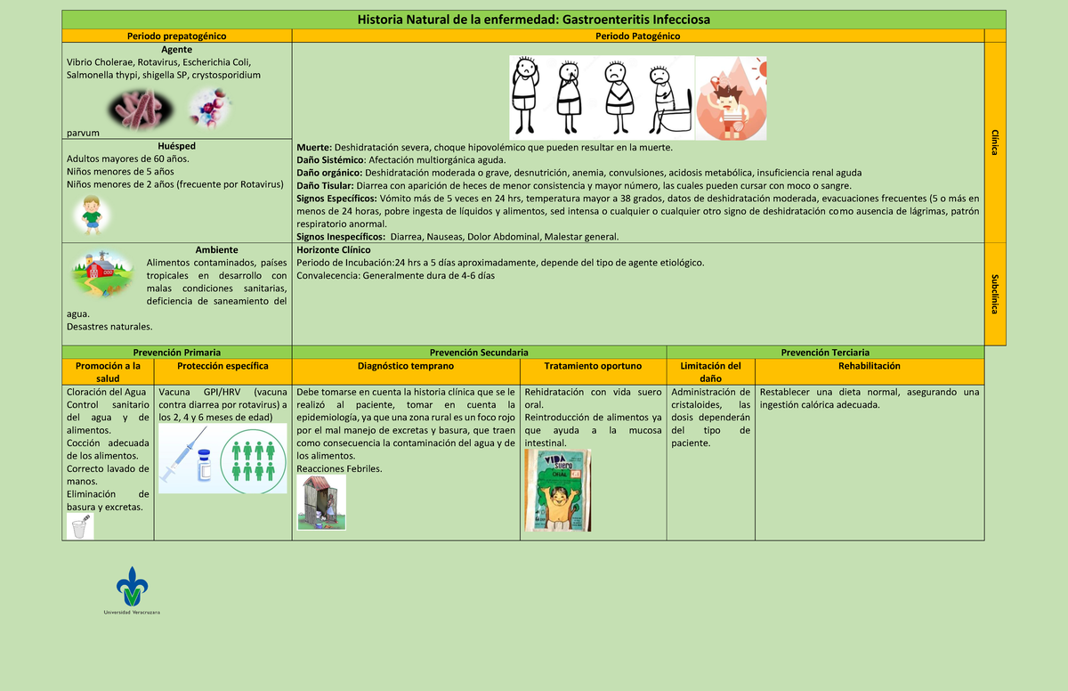 Historia Natural De La Enfermedad Gastroenteritis www.studocu.com