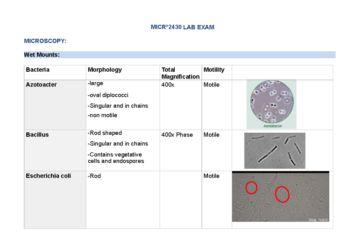 Lab exam study guide - MICR*2430 LAB EXAM MICROSCOPY: Wet Mounts ...