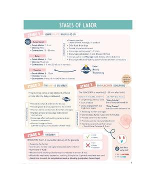 Stages of Labor - Stages of Labor Stage 1 of Labor Goal: Cervical ...