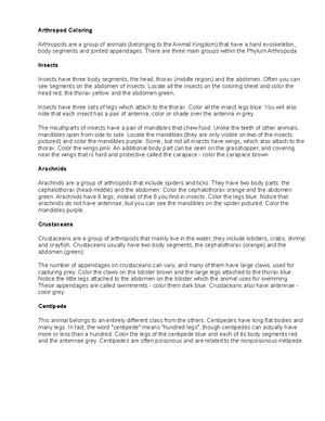 Download 6804044 - Yeh - NATIONAL CENTER FOR CASE STUDY TEACHING IN ...