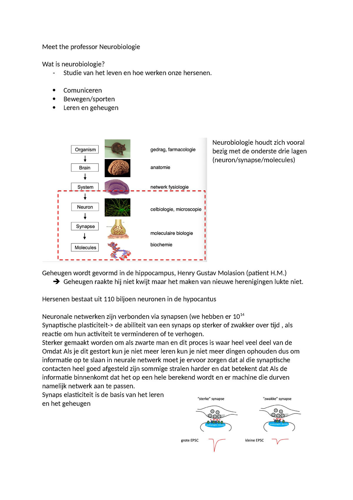 Meet The Professor Neurobiologie - Comuniceren Bewegen/sporten Leren En ...