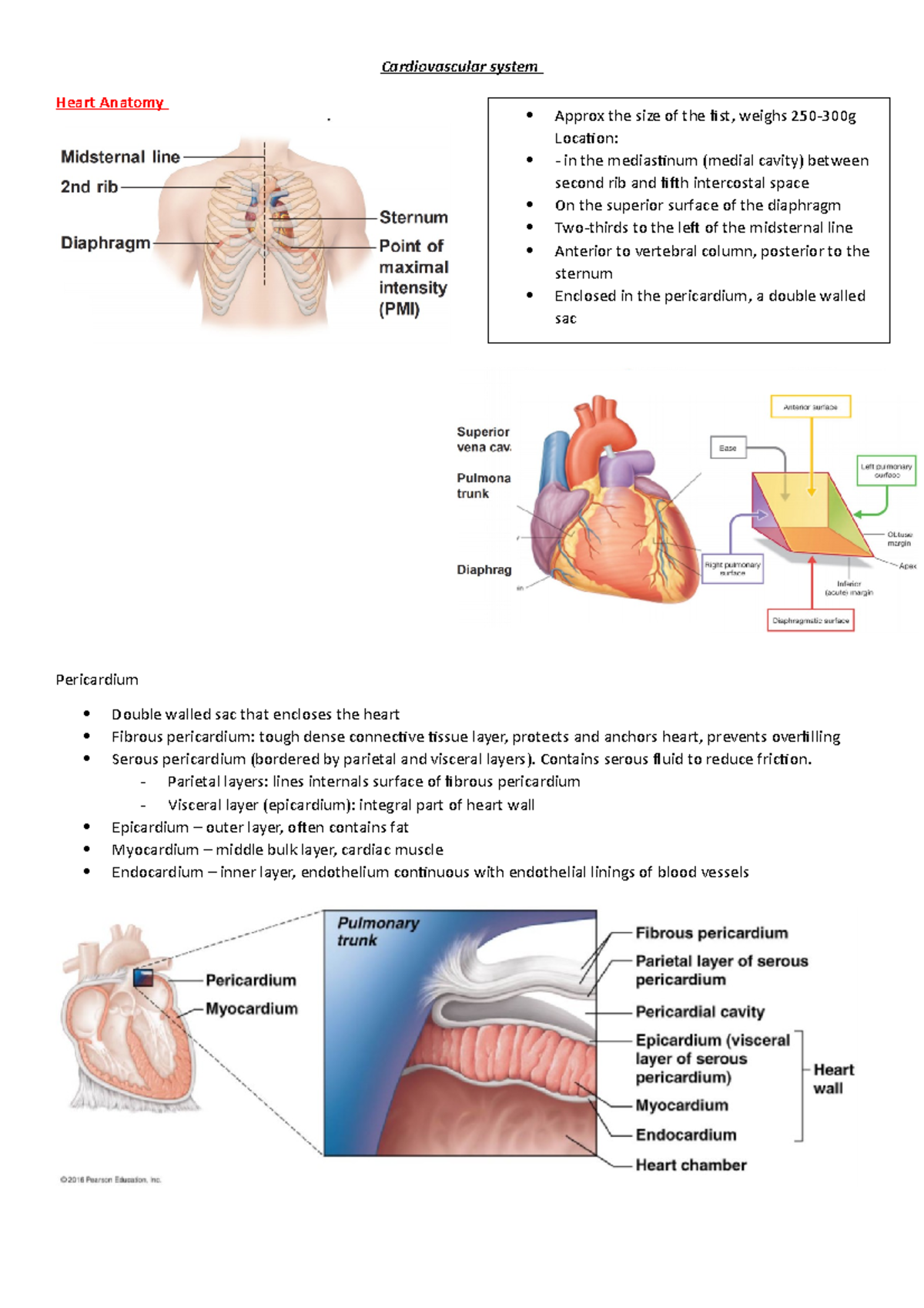 Cardiovascular system Cardiovascular system Heart Anatomy Pericardium