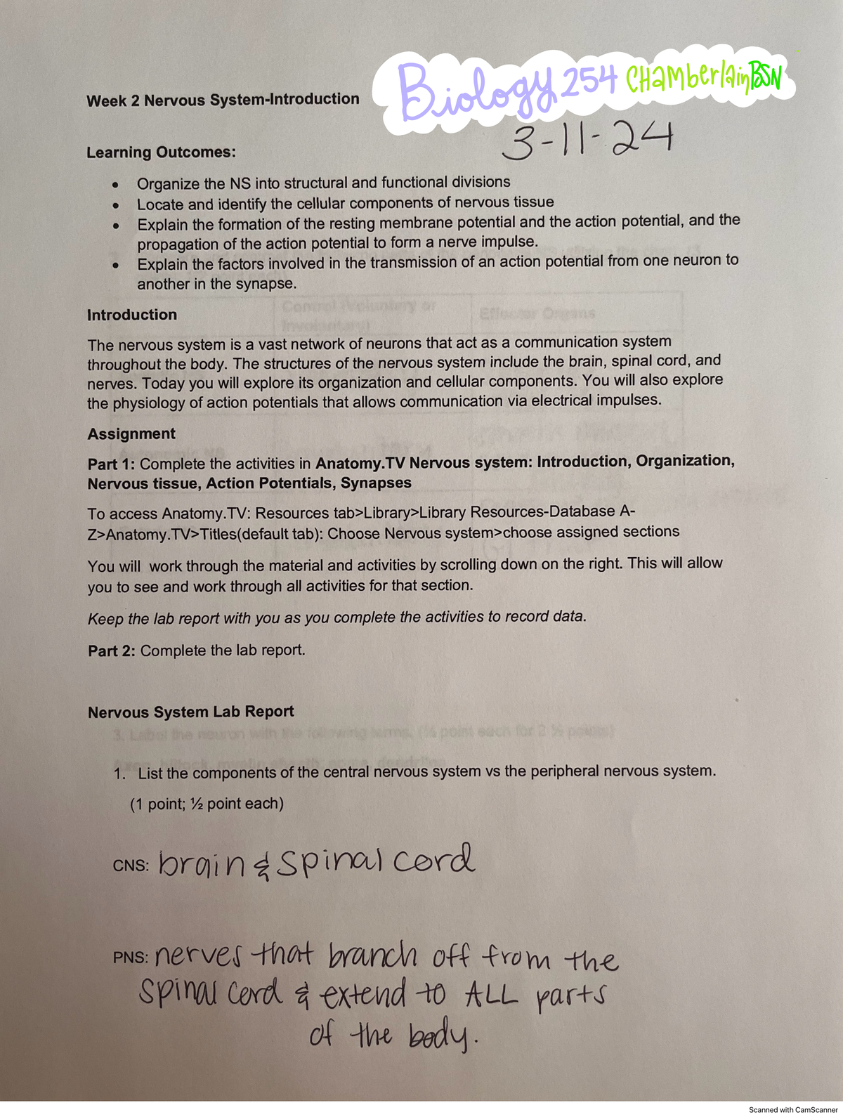 Bio week 2 - Lab Report - BIOS 252 - Studocu