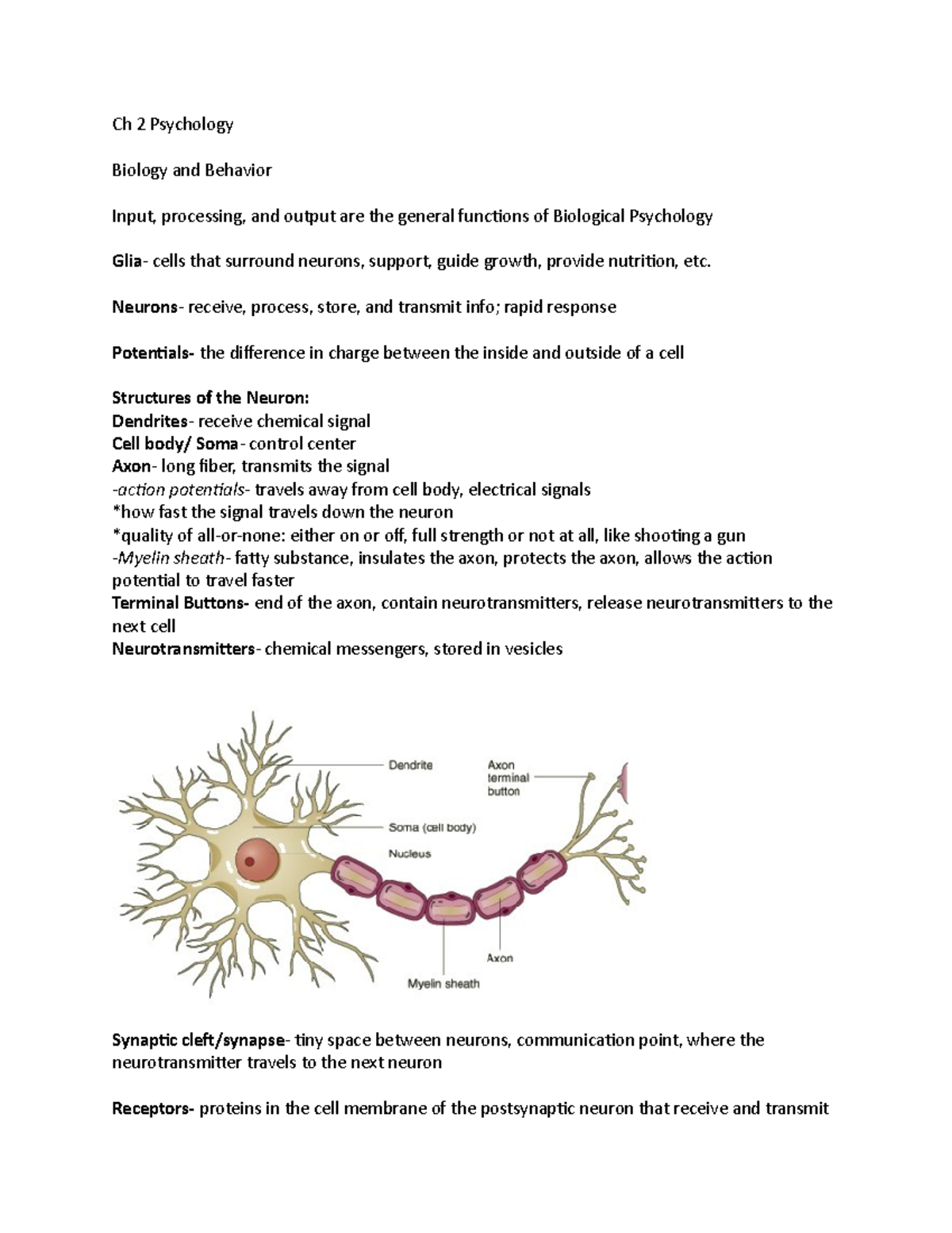 Ch 2 - ch 2 - Ch 2 Psychology Biology and Behavior Input, processing ...