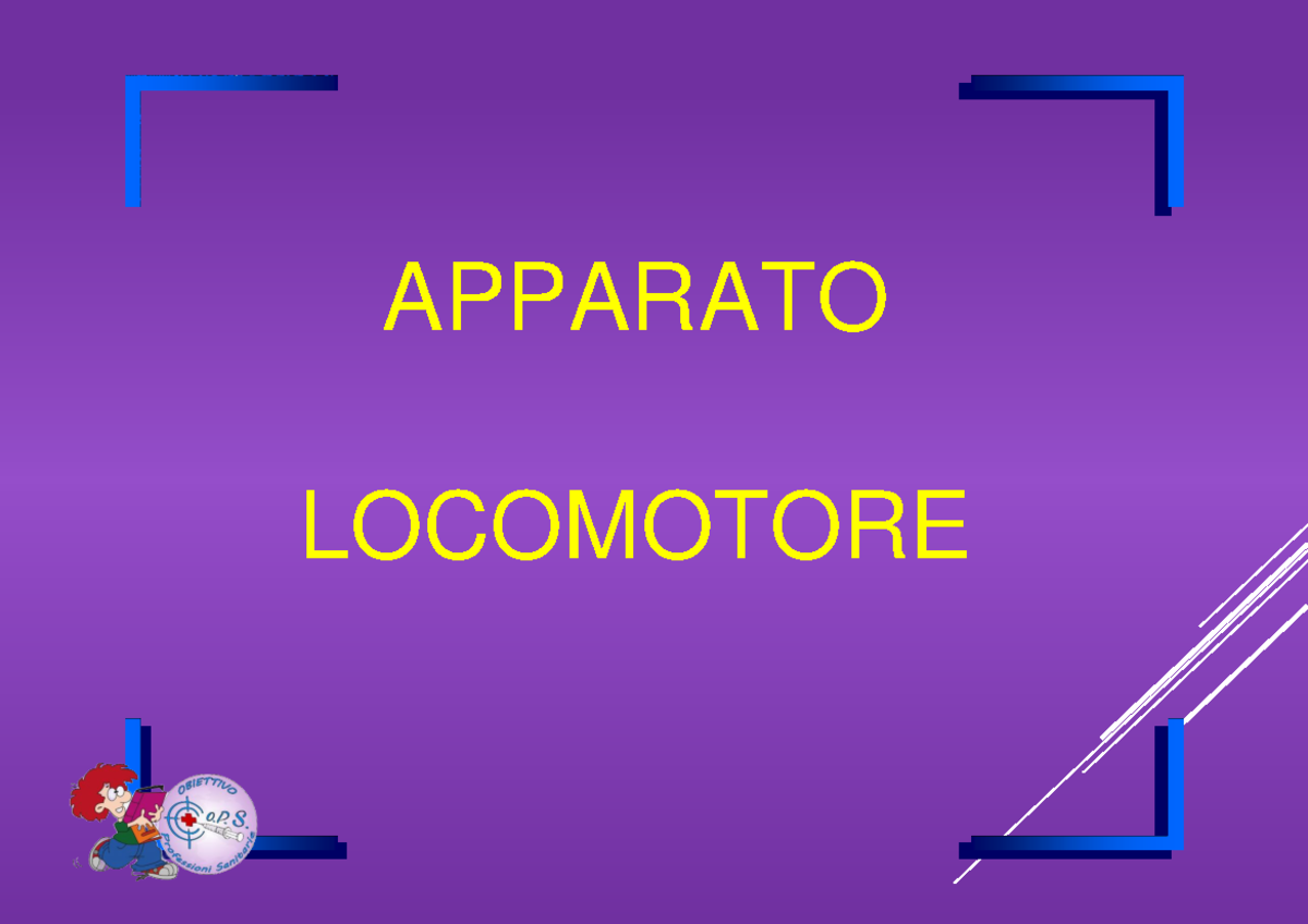Apparato locomotore - pretest - APPARATO LOCOMOTORE COMPRENDE IL ...