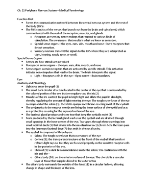 CH 10 Nervous System - Medical Terminology - Function First The nervous ...