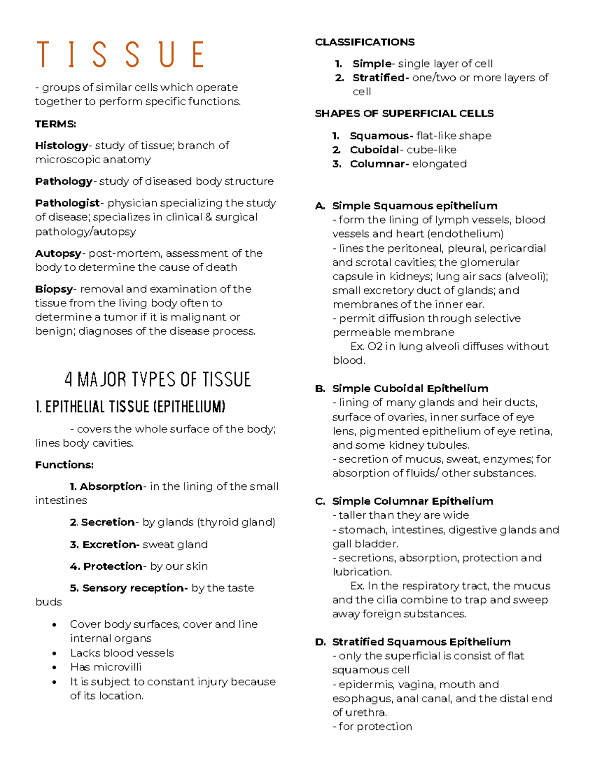 Tissue CHAPTER 4 SEELEY'S ANATOMY AND PHYSIOLOGY - T I S S U E Groups ...