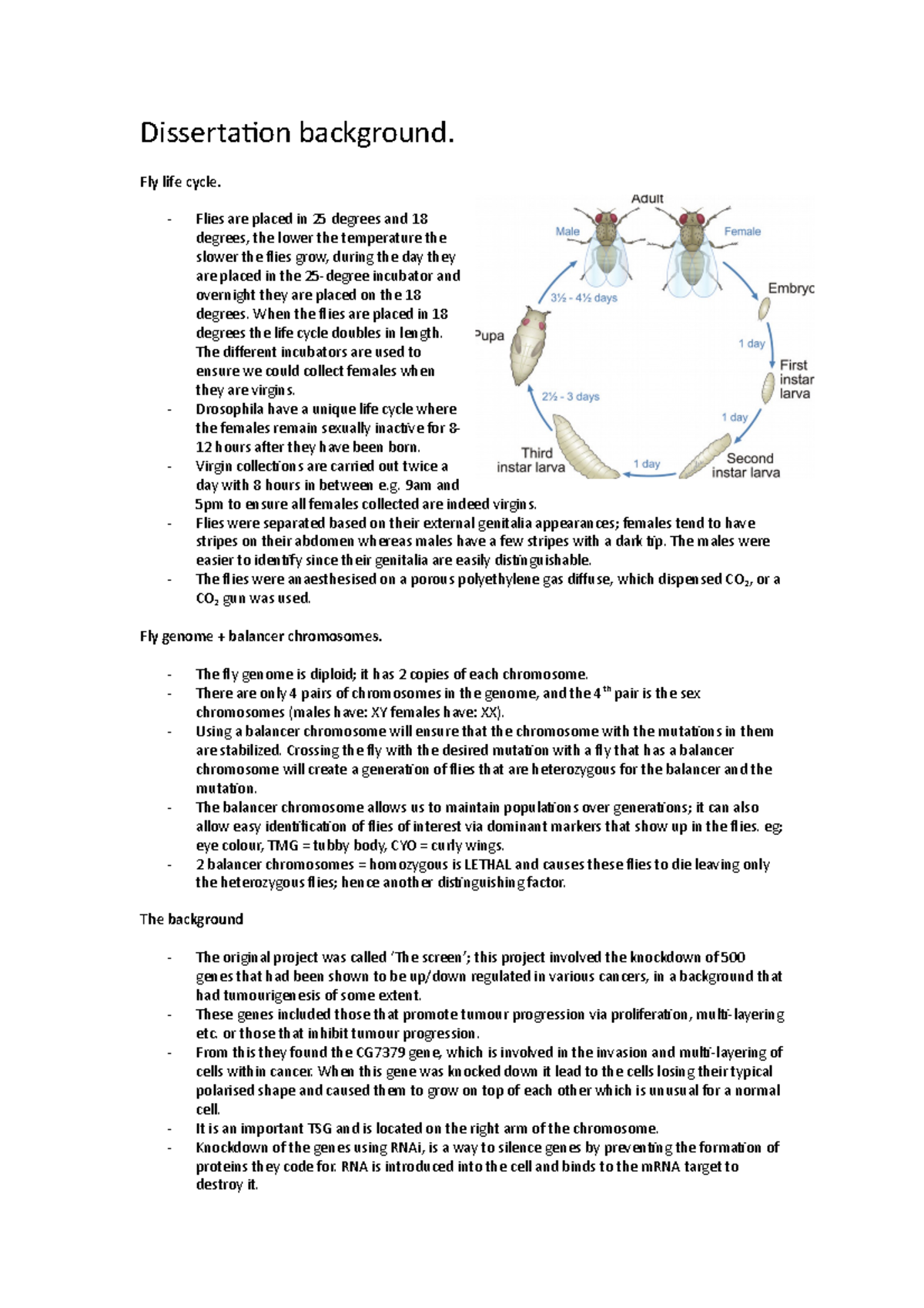 Dissertation background - Fly life cycle. Flies are placed in 25 ...