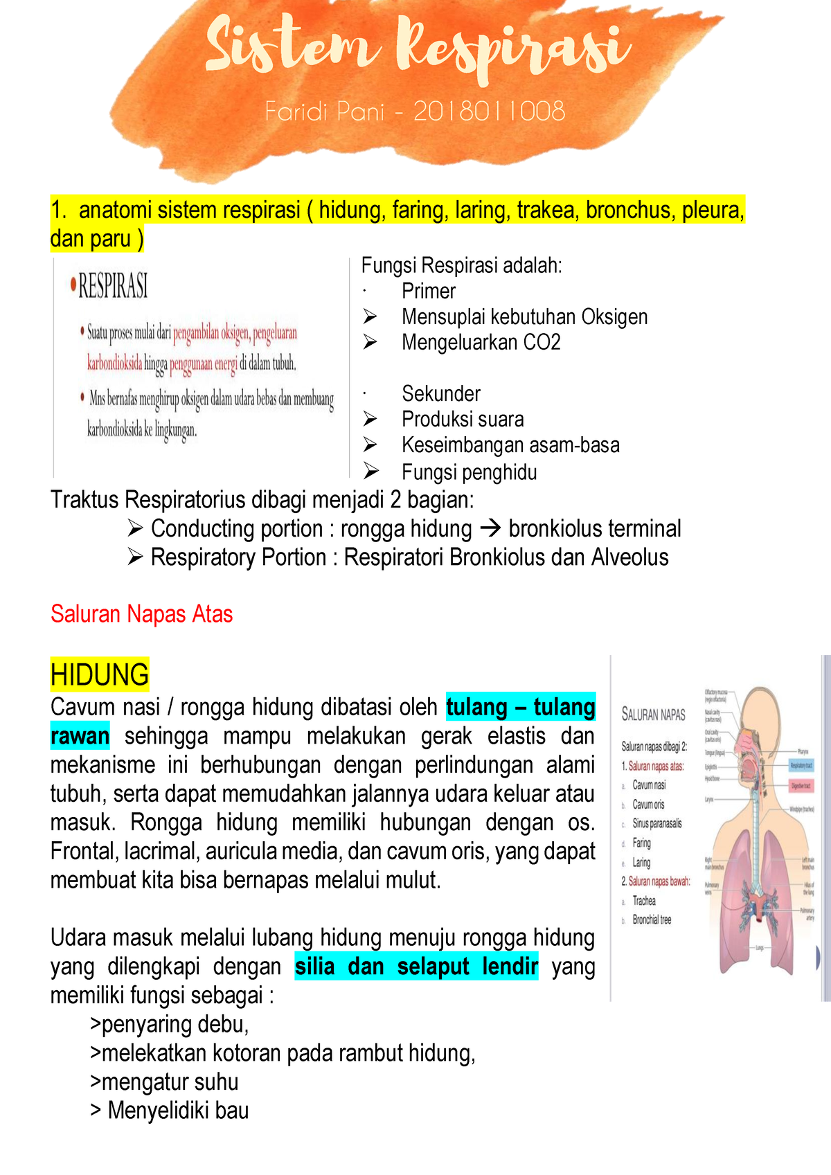 Catatan Respirasi - 1. Anatomi Sistem Respirasi ( Hidung, Faring ...