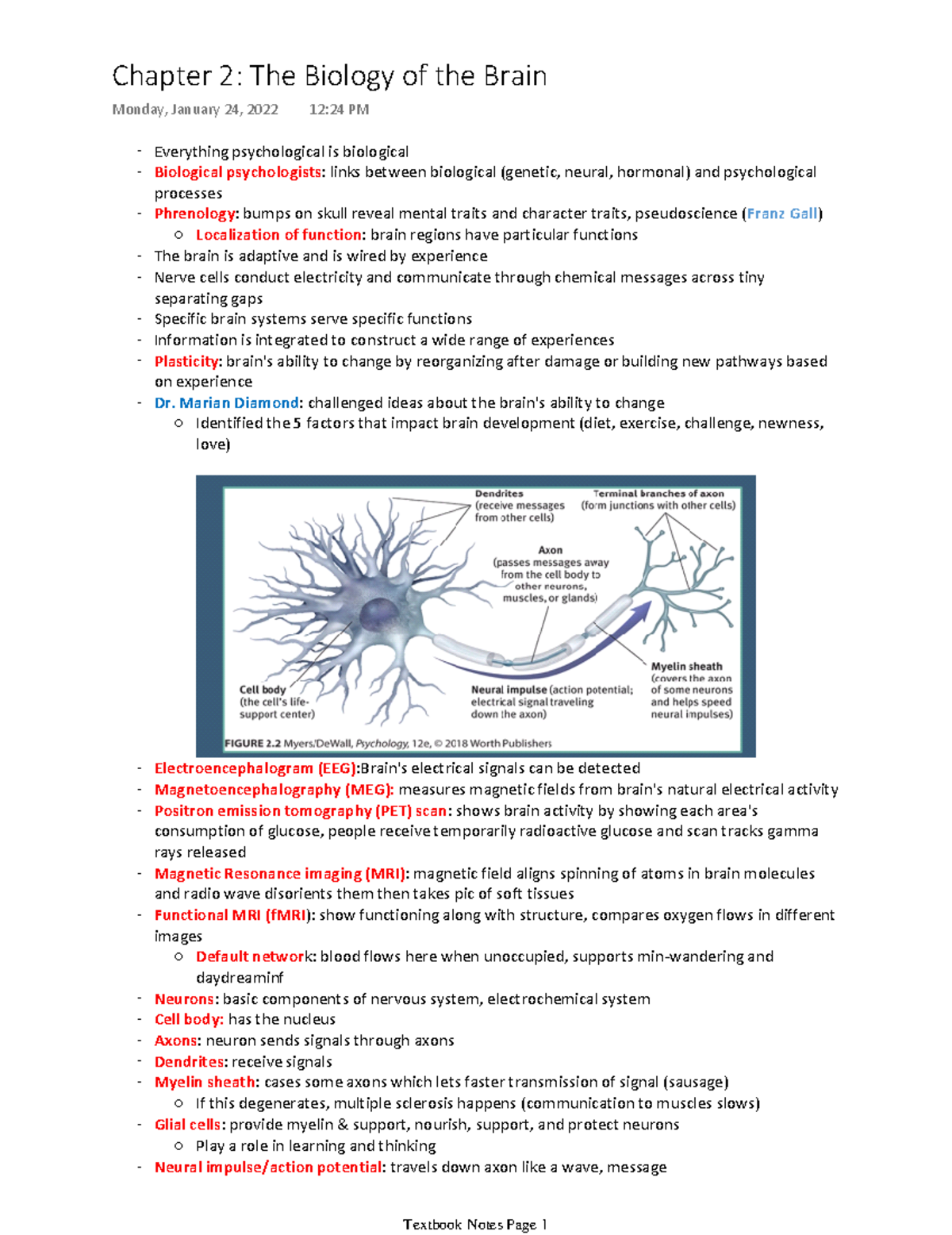 Chapter 2 The Biology Of The Brain - Everything Psychological Is ...