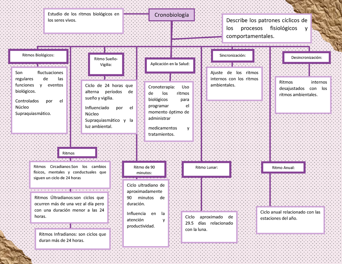 Cronobiologíamap - Cronobiología - Estudio de los ritmos biológicos en ...