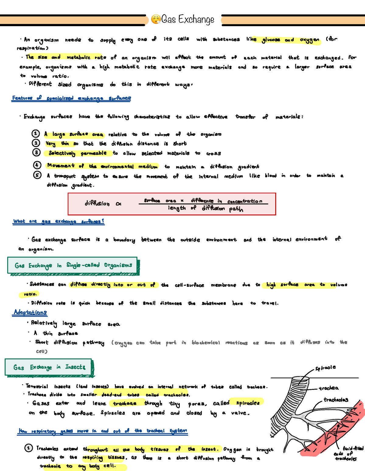 Gas Exchange Notes - 😮💨 Gas Exchange • An Organism Needs To Supply ...