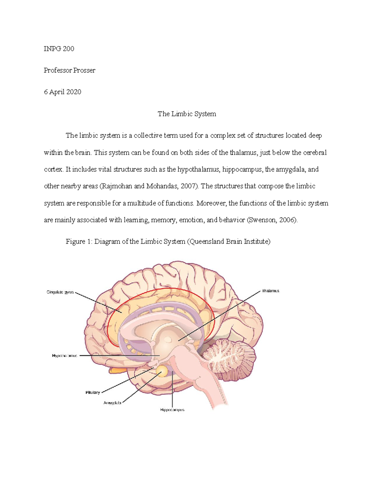 Module 11 Report - INPG 200 Professor Prosser 6 April 2020 The Limbic ...