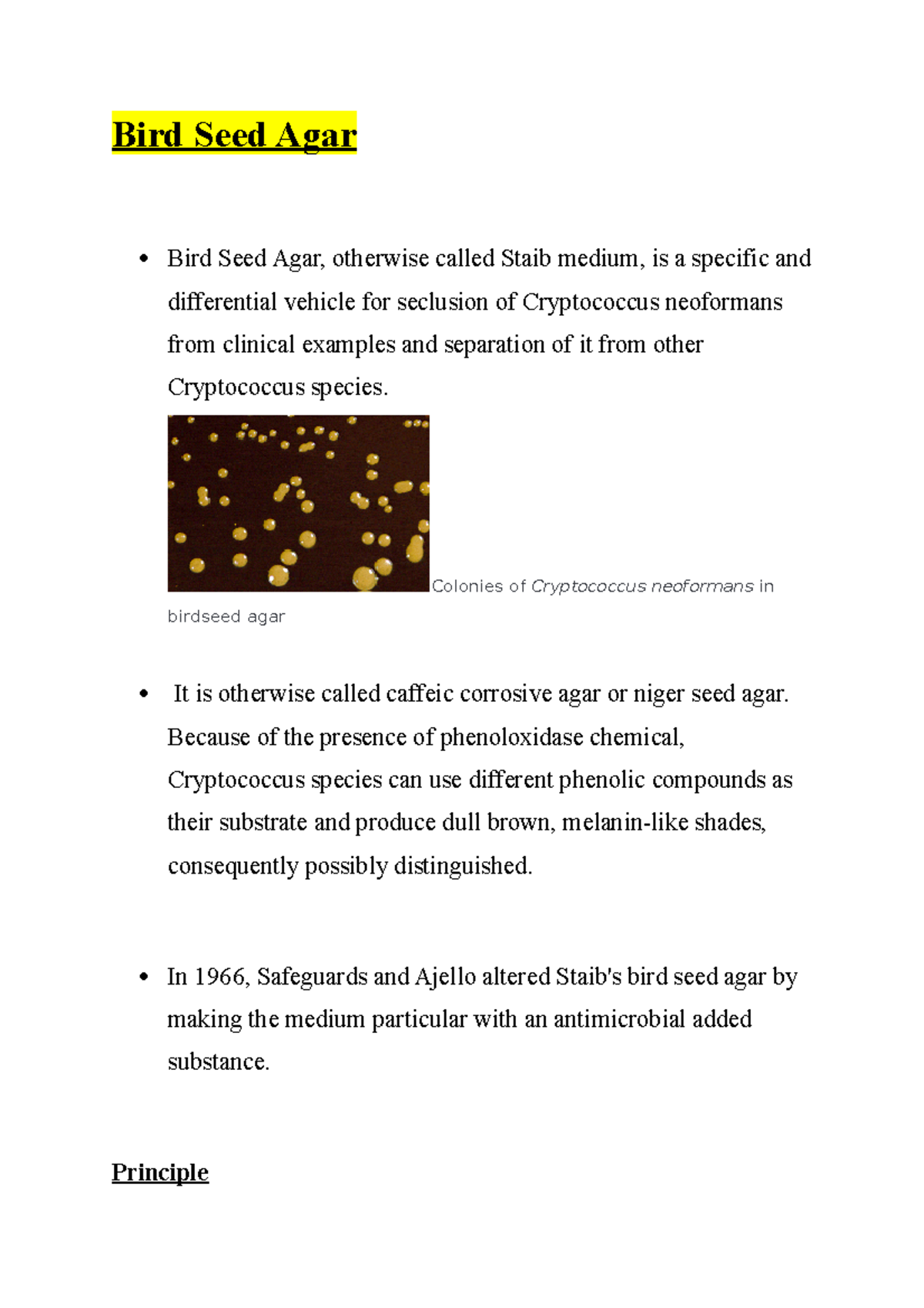 Bird Seed Agar INFORMATIVE NOTES Bird Seed Agar Bird Seed Agar