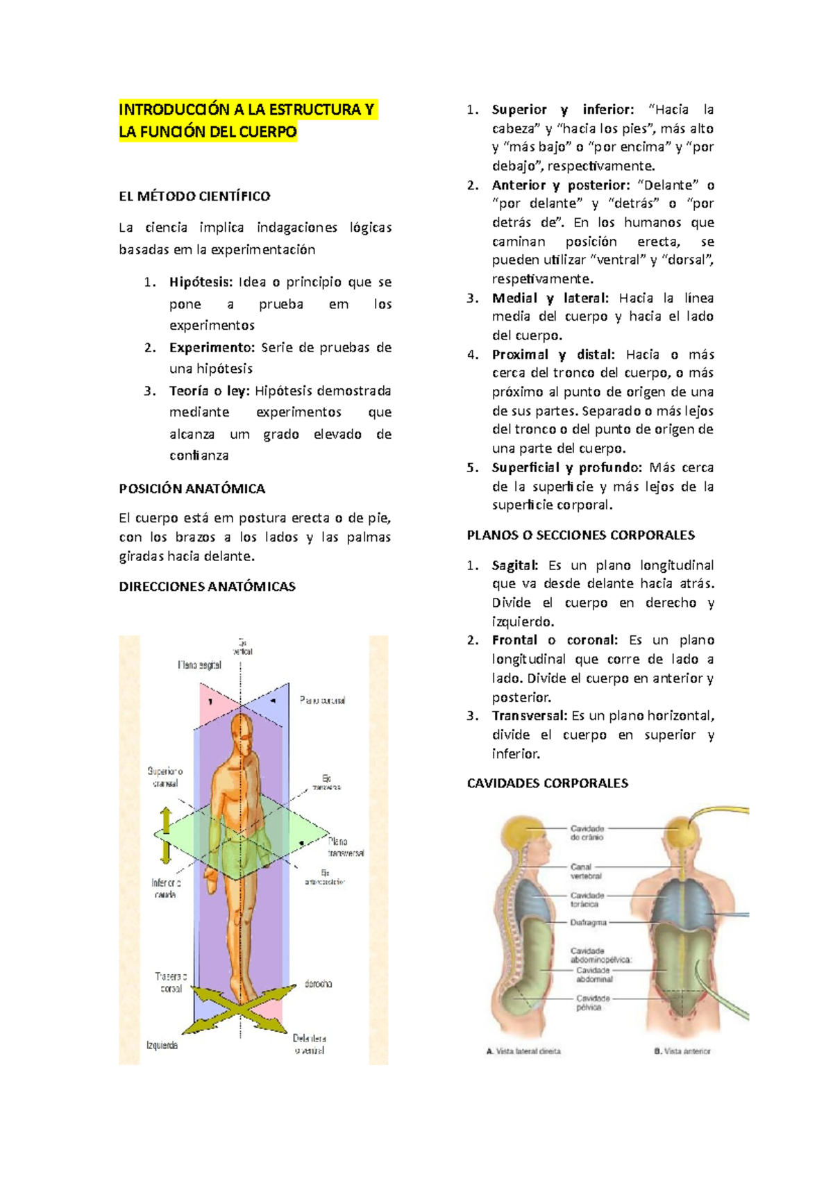 Apunte Anatómia - INTRODUCCIÓN A LA ESTRUCTURA Y LA FUNCIÓN DEL CUERPO ...