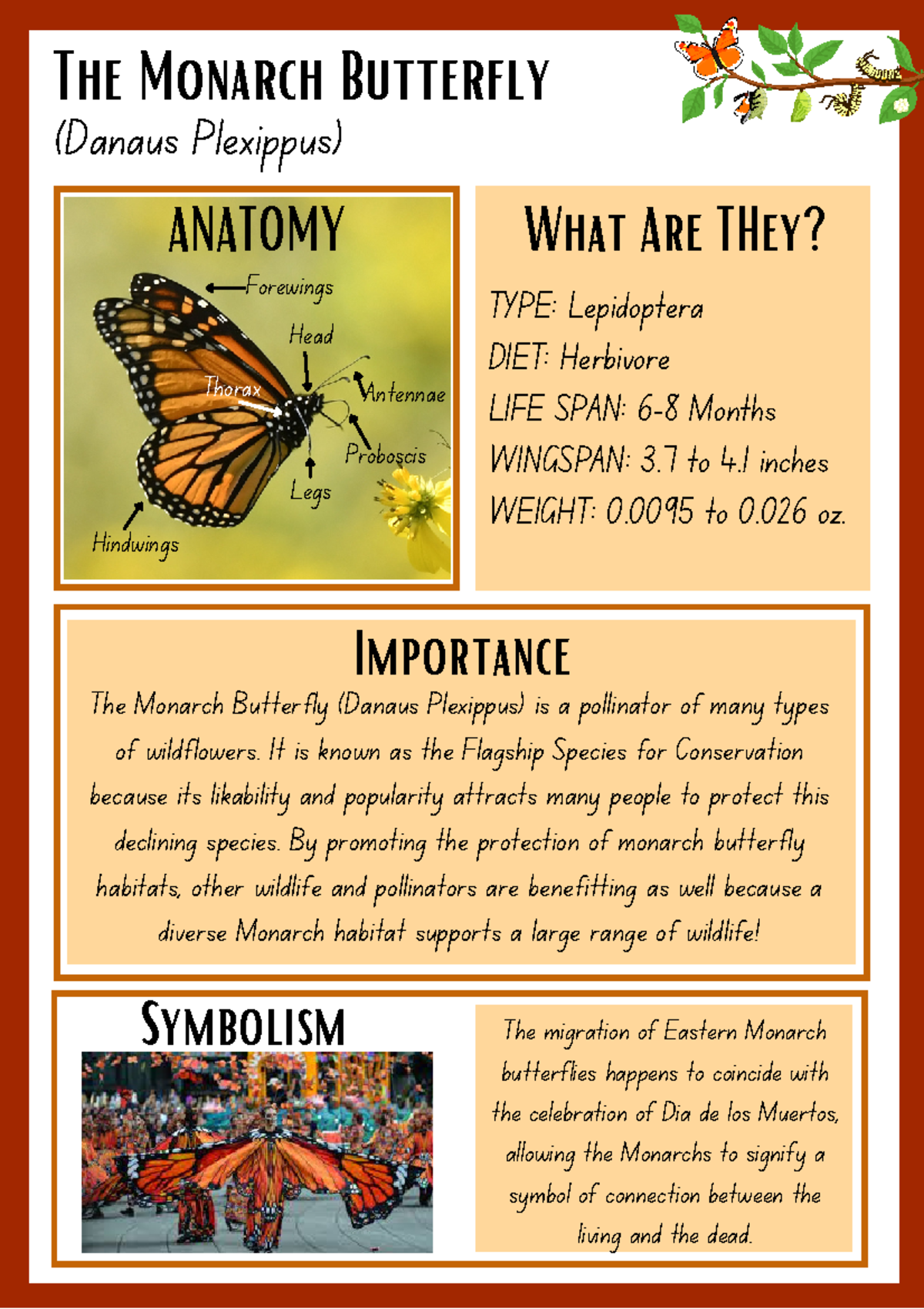 World of Insects- Monarch Butterfly Fact Sheet - The Monarch Butterfly ...