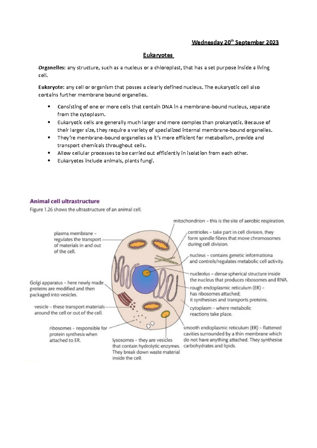 Eukaryotic organelles - Wednesday 20th September 2023 Eukaryotes ...