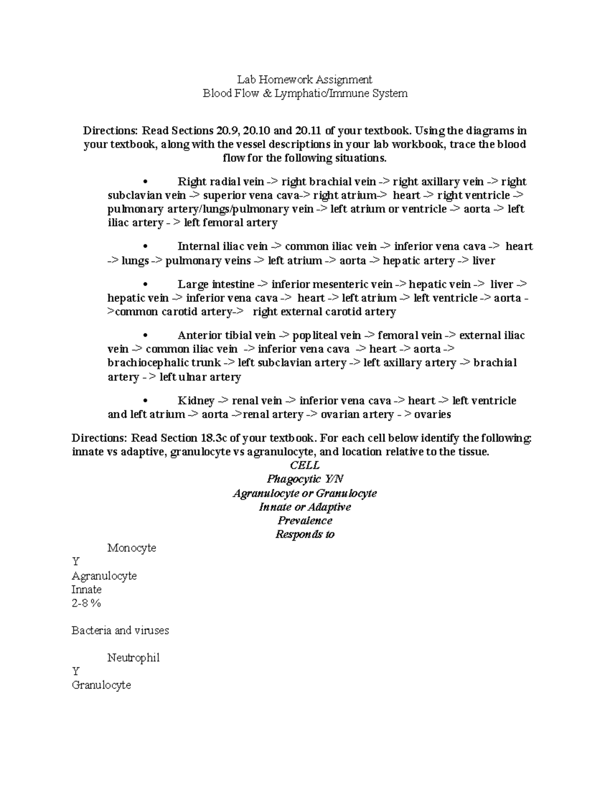 Blood Vessels & Lymphatic System Lab HW 220 - Lab Homework Assignment ...