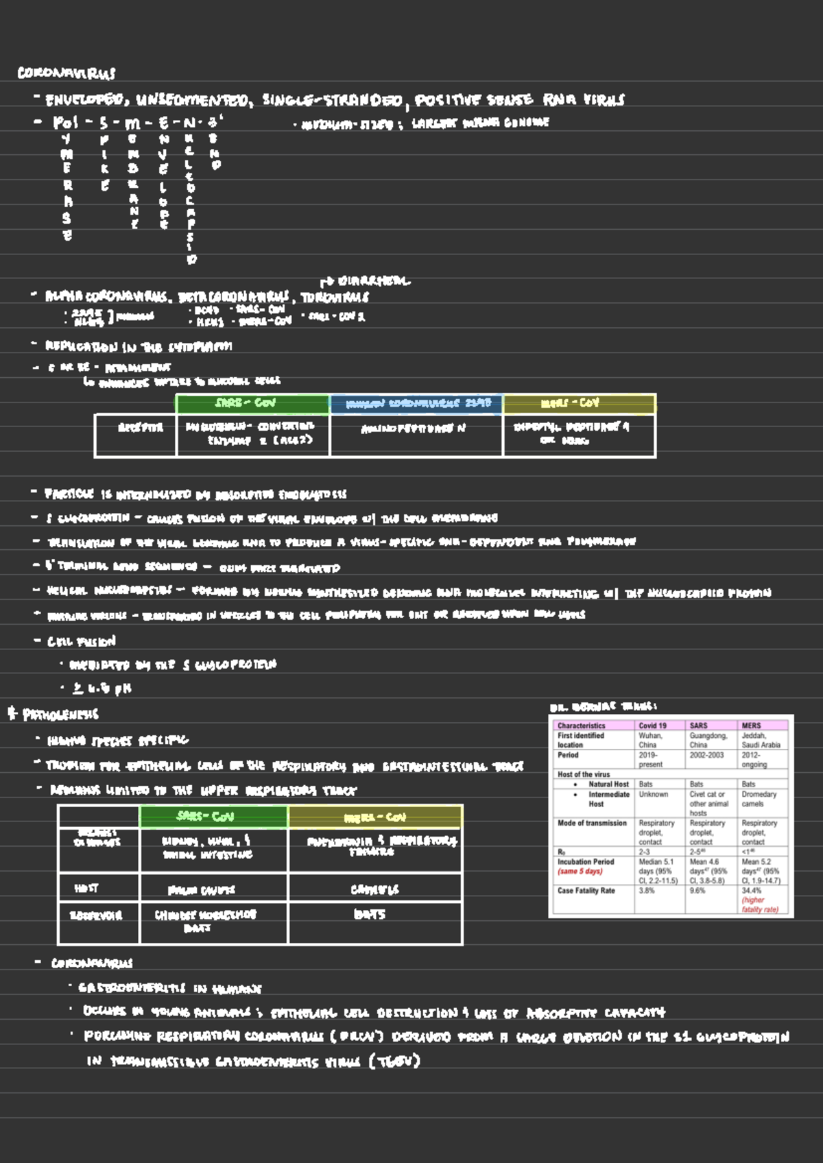 Coronavirus - Lecture Transcribed Notes - CORONAVIRUS ENVELOPED ...