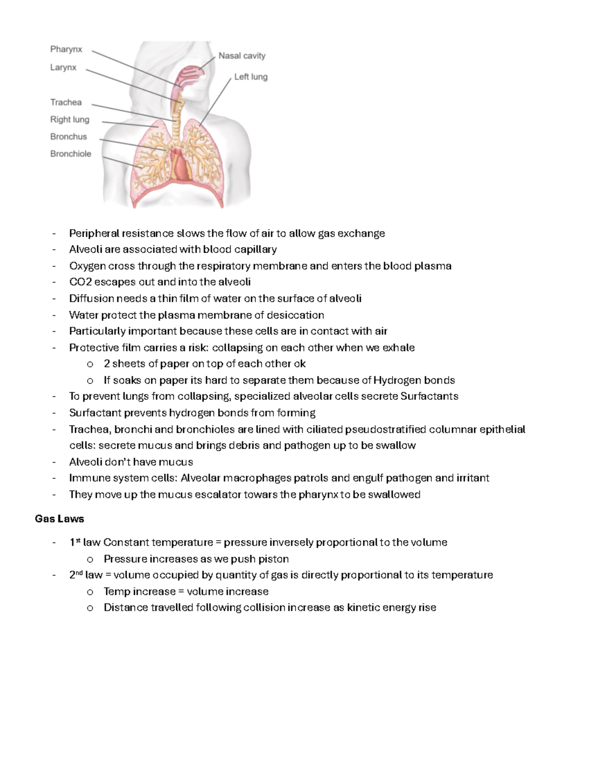 Week 3 - Biol 225 - respiratory systems - Peripheral resistance slows ...