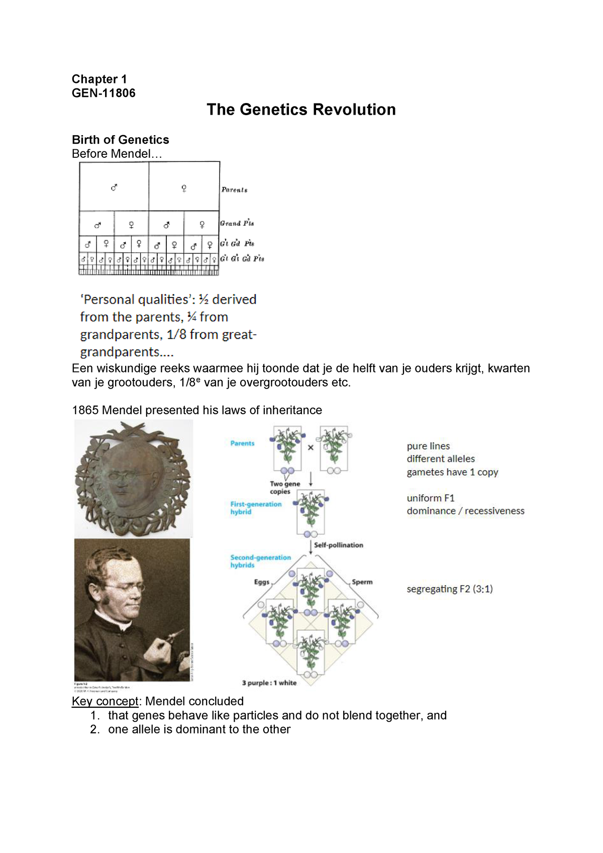 Alle Genetics Lectures Door De Periode Heen - Chapter 1 GEN- The ...