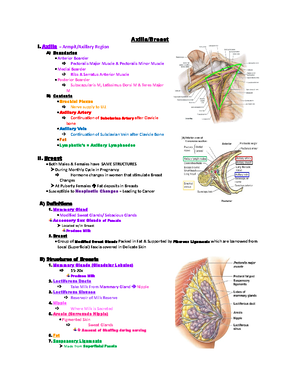 Female Reproductive Anatomy - General Remarks Exocrine = Ova Endocrine ...