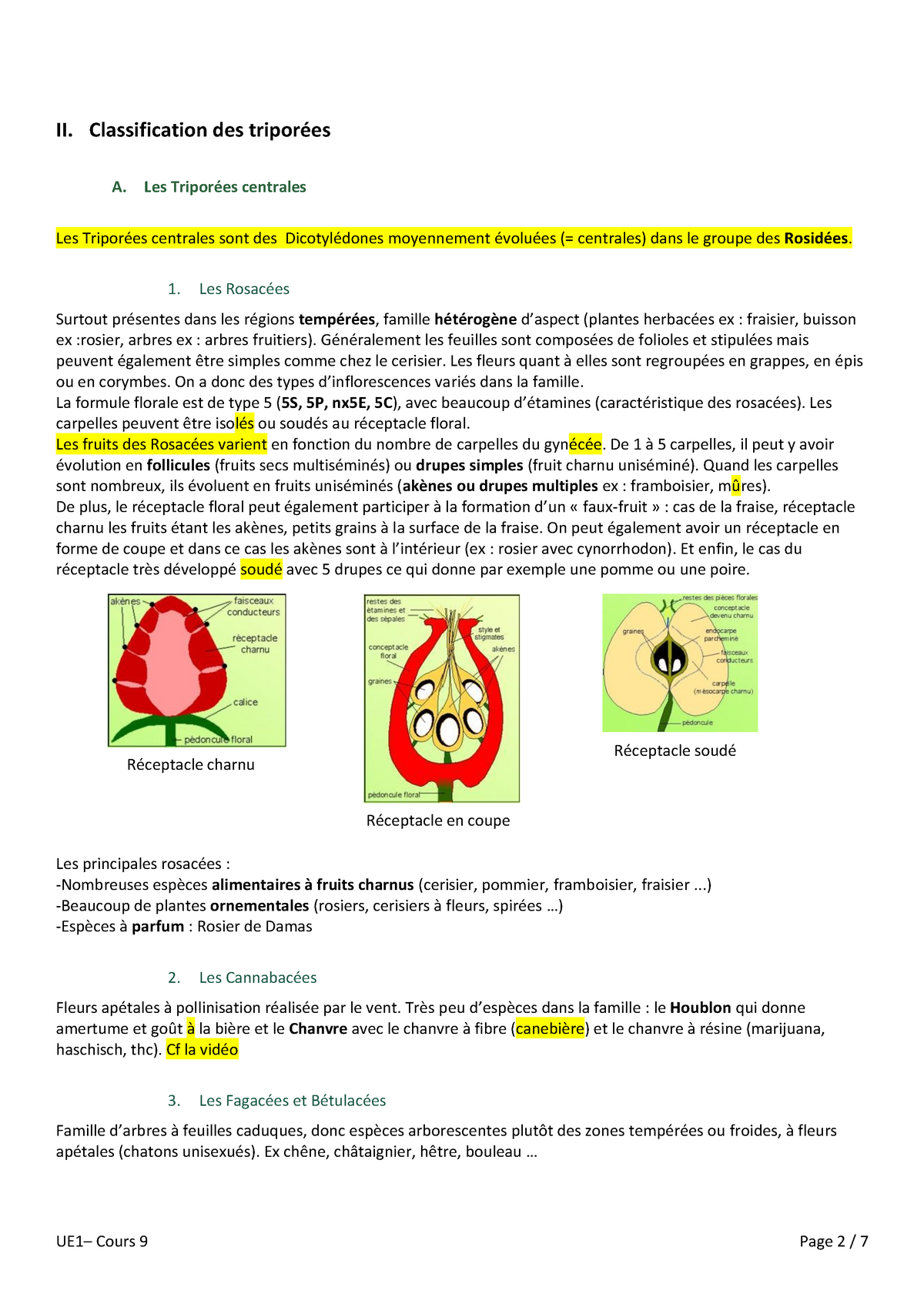 UE1 B - Cours 8 - Warning: TT: Undefined Function: 32 Warning: TT ...