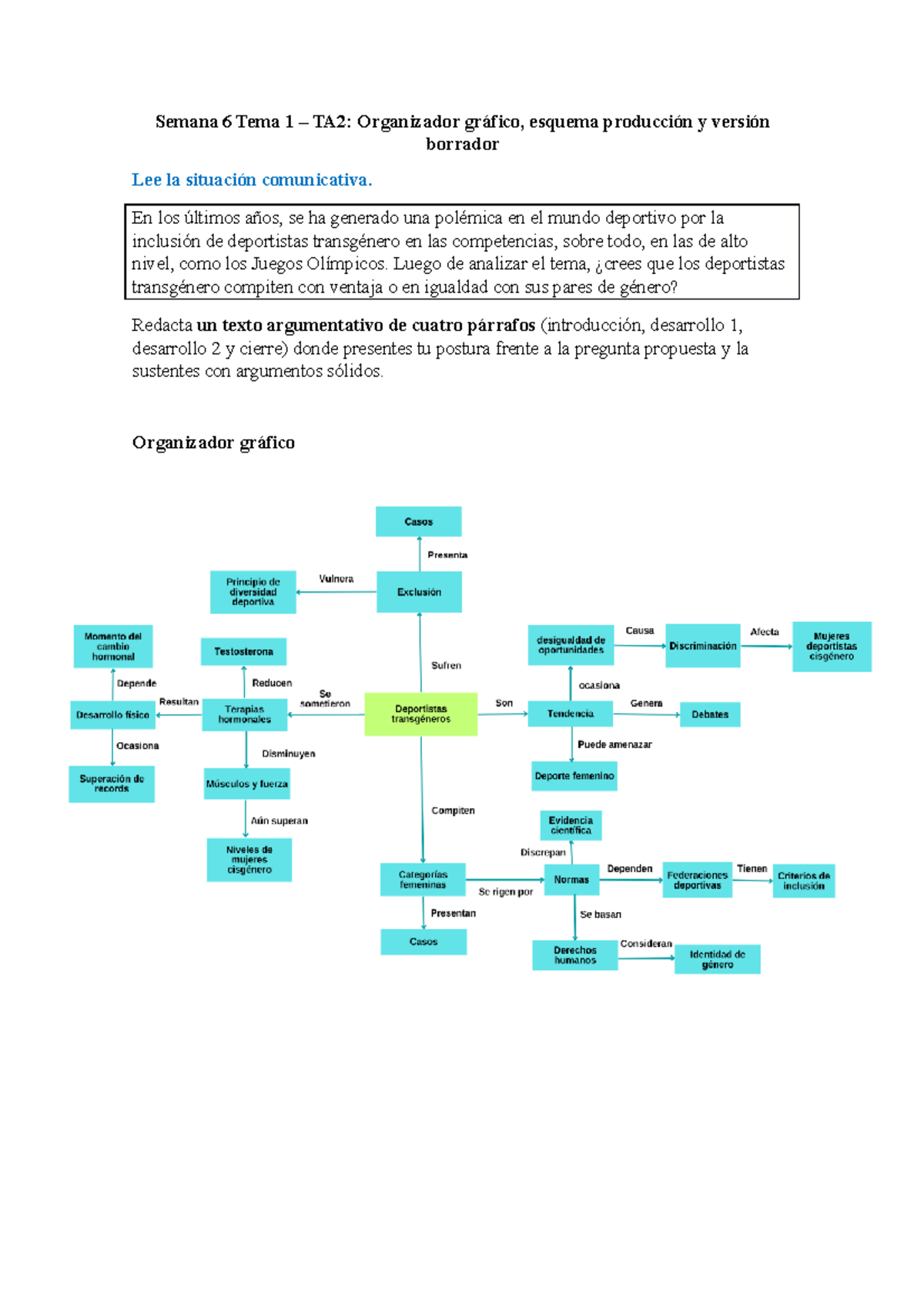 S Ta Organizador Gr Fico Esquema Producci N Y Versi N Borrador Semana Tema Ta