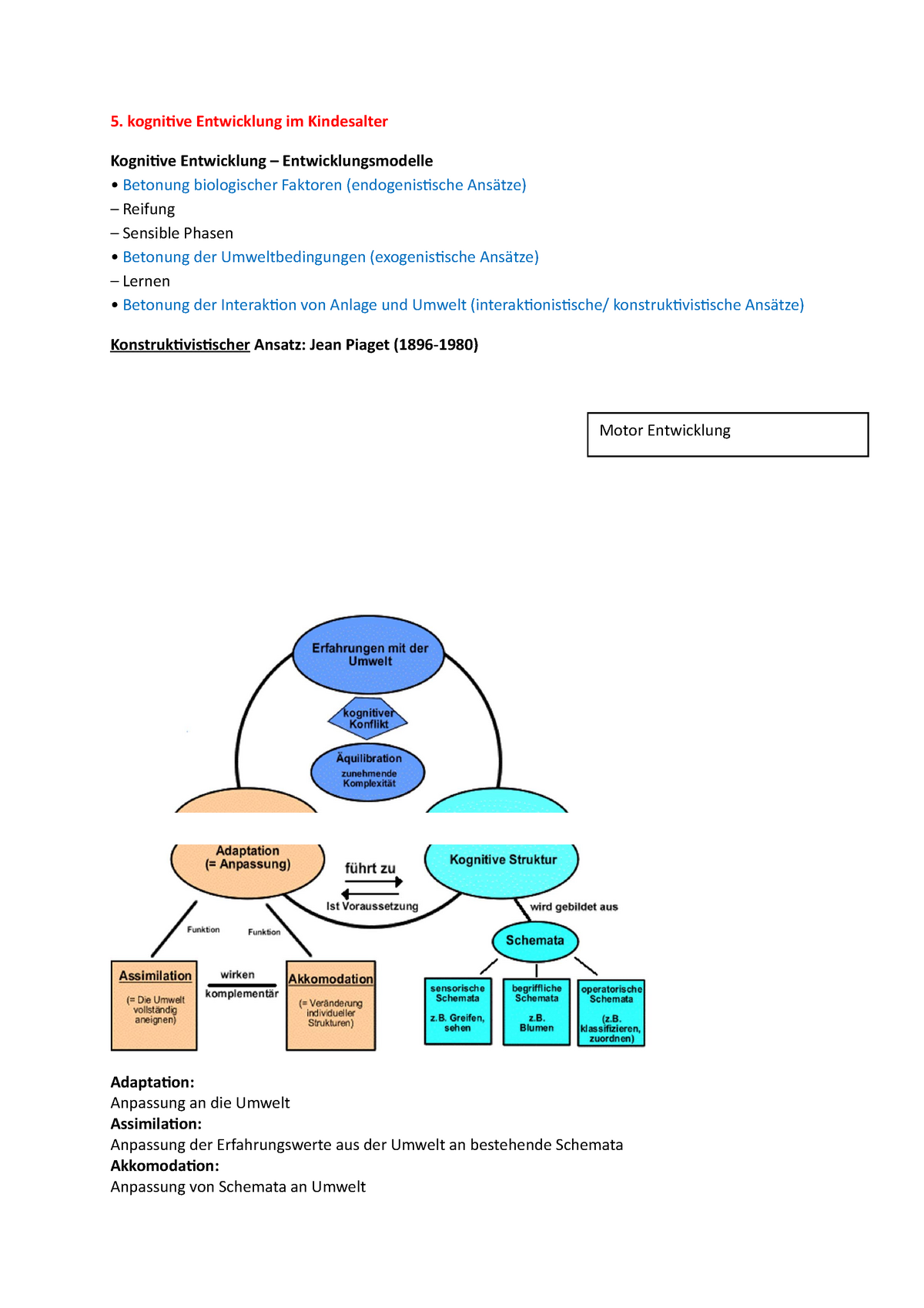 5. Kognitive Entwicklung kognitive Entwicklung im Kindesalter