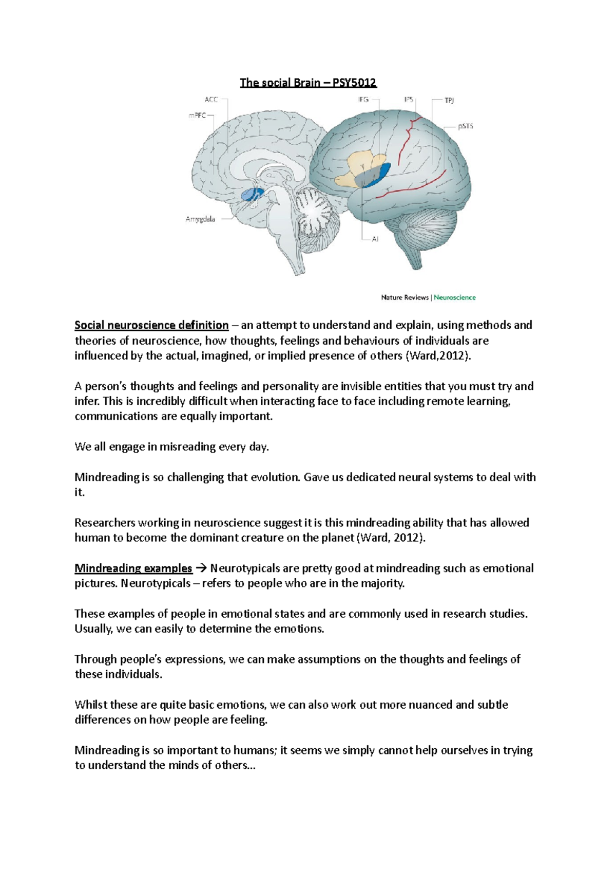 The social Brain - A person’s thoughts and feelings and personality are ...