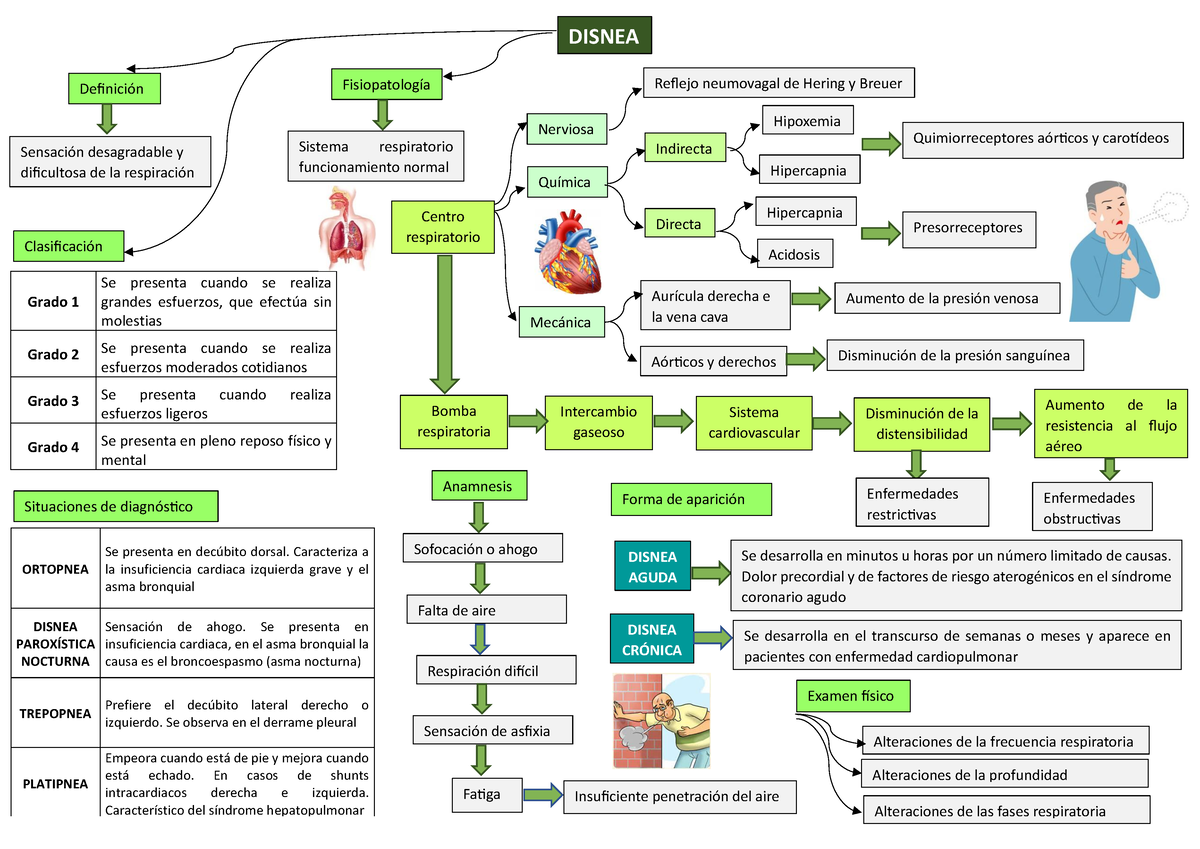 Disnea - DISNEA Definición Fisiopatología Clasificación Sensación ...