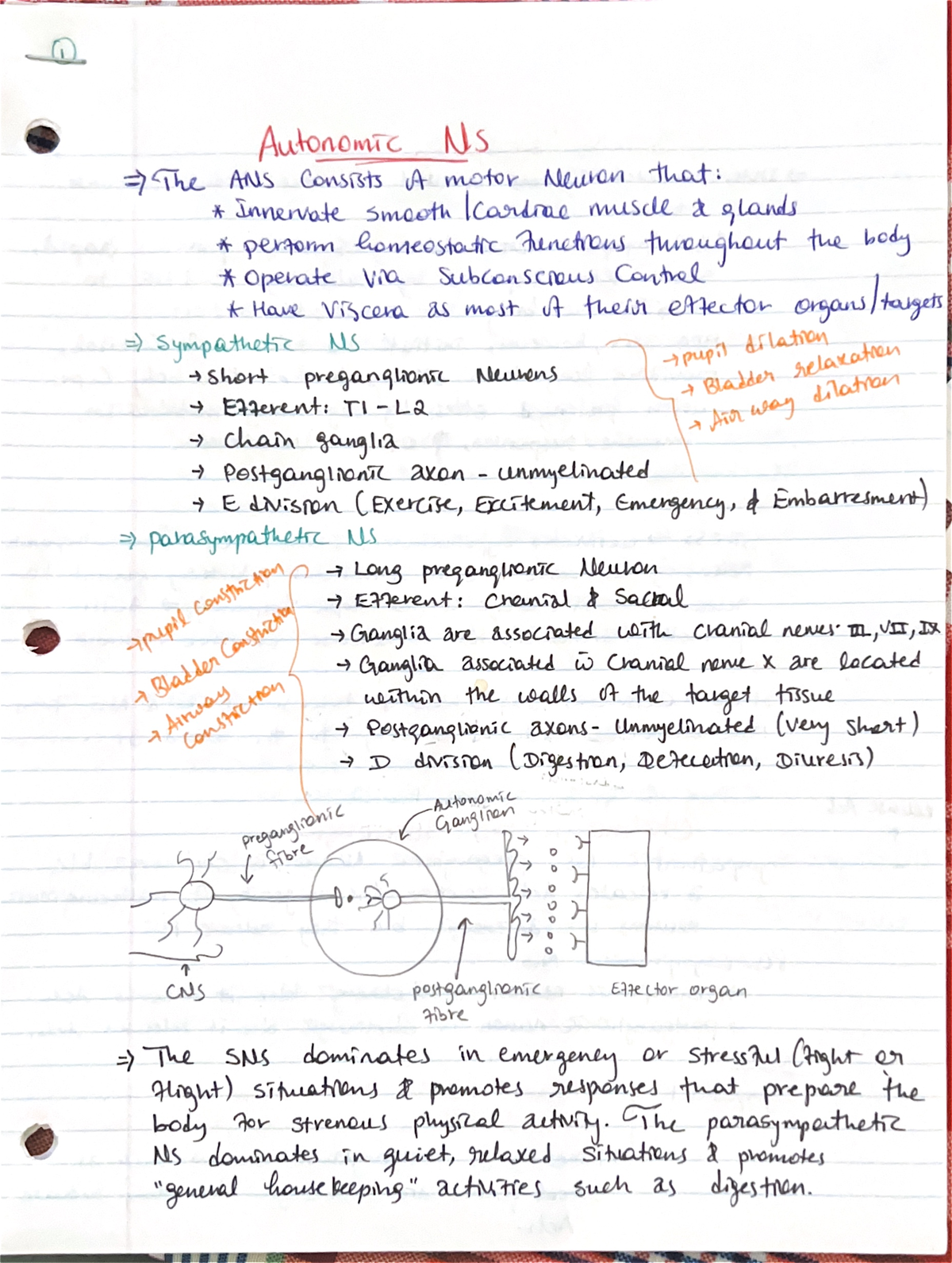 Phs3341 notes - Dr. Carnegie - PHS3341 - Studocu